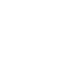 feature-icon